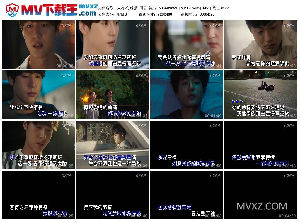 火鸡-伤后感_国语_流行_MEA01251